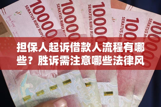武汉担保人起诉借款人流程有哪些？胜诉需注意哪些法律风险？